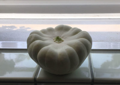 first-crop-spring-2018